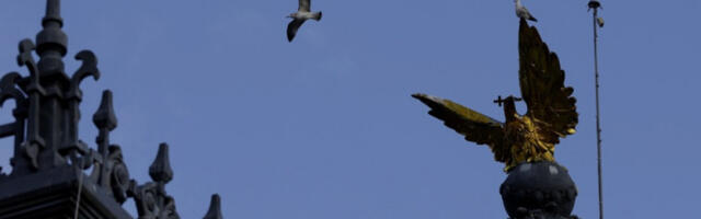 Српска банатска удовица уврштена у редове светитељки Румунске православне цркве