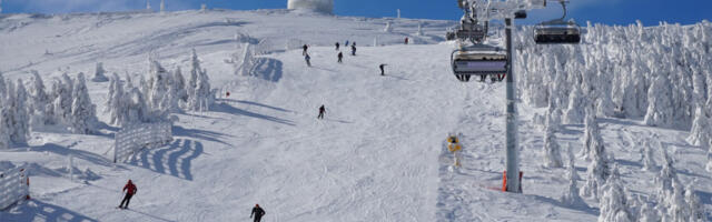 Otkud ovo na Kopaoniku? Pufnasti stvor snimljen kako trči po snegu, ljudi oduševljeni