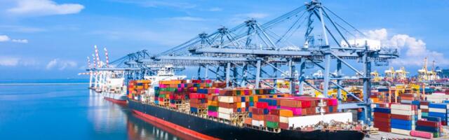 Deset brodova punih suncokreta isplovilo iz Argentine ka Bugarskoj: Poljoprivrednici u strahu od sloma cena