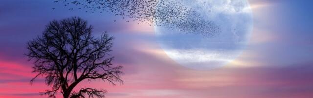 Mesec ulazi u Škorpiju: 3 znaka očekuje sudbinski preokret