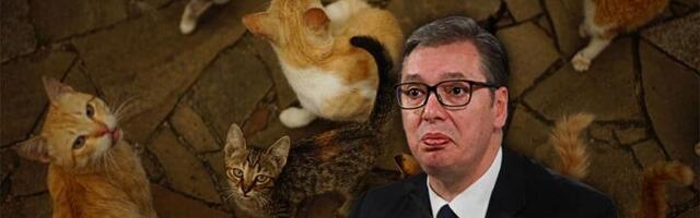 IDE MACA... Šta sve Vučić 12 godina "kači mačku o rep?"