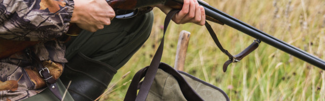 Idu lovac i pop šumom...