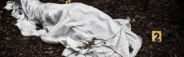 JEZIVO Izvučeno telo iz Dunava kod splava na NBG