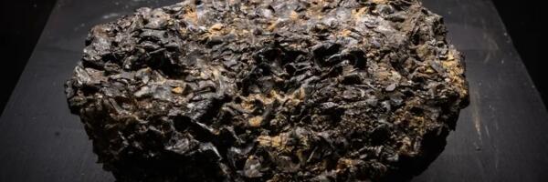 Policija zaplenila gotovo 8 kilograma skupocene povraćke kita