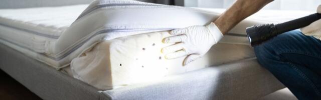 Privlači novac kao ludo! Jednu stvar ostavite ispod kreveta i gledajte kako pristiže sreća i blagostanje