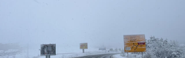 7 SATI ČEKANJA NA IZLAZU IZ SRBIJE! Ovakvo je stanje od jutros na granicama i srpskim putevima