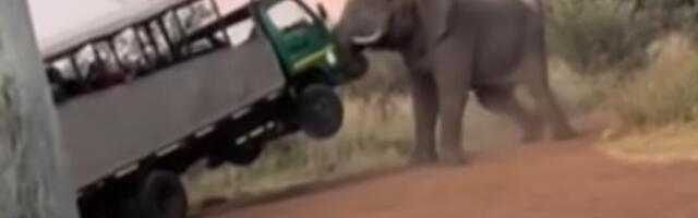 DIVLJI MLADI SLON U FAZI PARENJA UBIO 20 LJUDI ZA DEVET DANA! Nadležni koriste BUBNJEVE kako bi upozorili stanovništvo da ne izlazi napolje, posebno ne NOĆU!