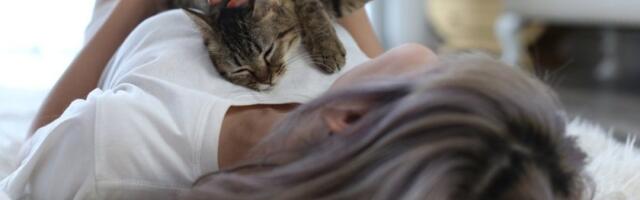 Kada mačka legne na vas to znači samo jedno: Ovo je razlog koji sigurno niste znali