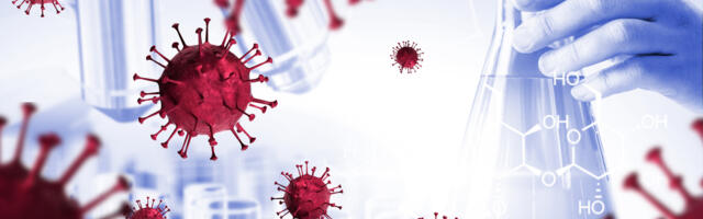 Coronavirus: Slovenia continues to see falling numbers