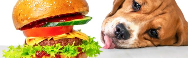 Povrće i voće koje ne smete davati vašem psu