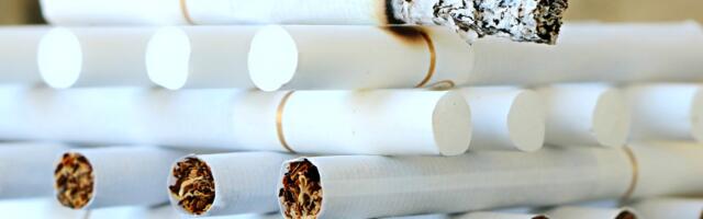 Hrvatski carinici zaplenili 14 miliona komada cigareta