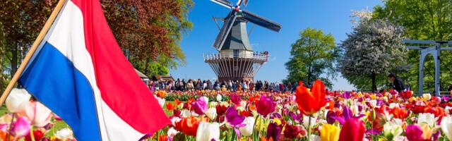 Mladi ostaju bez šanse za posao: AI prepolovio početničke pozicije u ovoj evropskoj državi