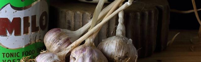 Beli luk vam brzo proklija? Pravite jednu KRITIČNU GREŠKU, a kuvari otkrivaju gde ga jedino treba držati!