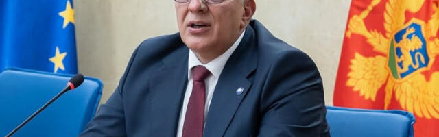 Андрија Мандић и НСД пред новом одлуком о закону који Србију ставља у улогу окупатора