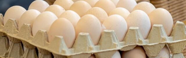 KOKOŠKE SU ODLUČNE Srpska jaja bi u Evropsku uniju