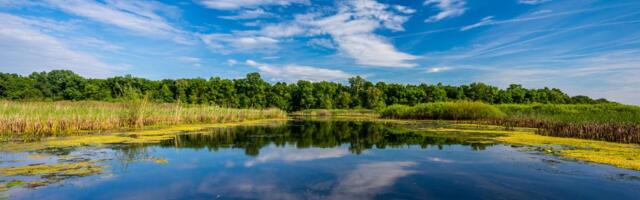 Samo 2 godine posle Jeloustona, zvanično je zaštićeno i ovo područje u Srbiji: Mesto je na kome caruju ptice