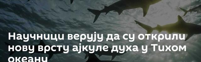 Научници верују да су открили нову врсту ајкуле духа у Тихом океану