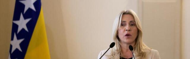 Članica Predsjedništva prijavila tužilaštvu ambasadora BiH pri UN zbog rezolucije o Srebrenici