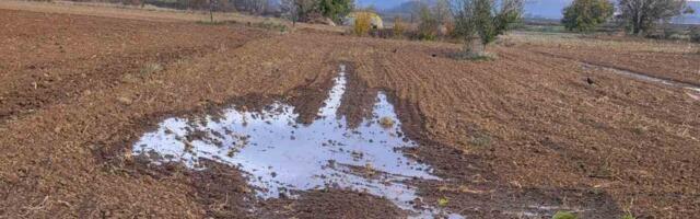 Nišlije se žale na nereagovanje Vodovoda: Jednom voda potapa žito, drugom ugrožava temelj kuće