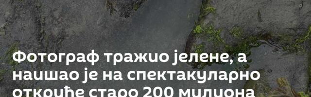 Фотограф тражио јелене, а наишао је на спектакуларно откриће старо 200 милиона година