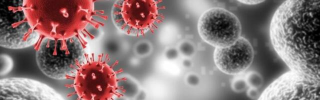 NOVI VIRUS PRETI EVROPI: Prenosi ga KOMARAC, a evo kakve KATASTROFALNE POSLEDICE ostavlja na ljude