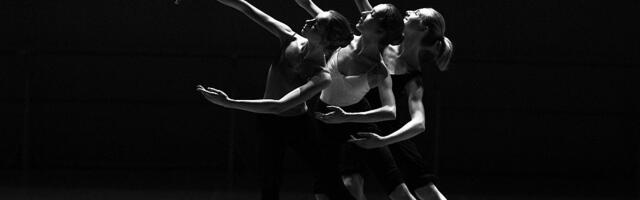 U Novi Sad stiže 1.500 plesača iz Evrope: Disko, džez i 2,9 miliona evra