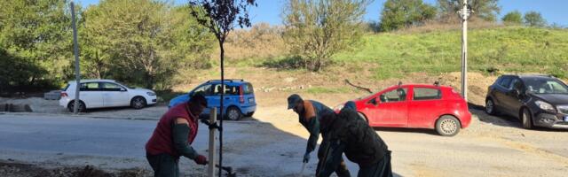 Nastavljena sadnja lišćara u okviru akcije  Vrati dah prirodi - posadi drvo  (FOTO)