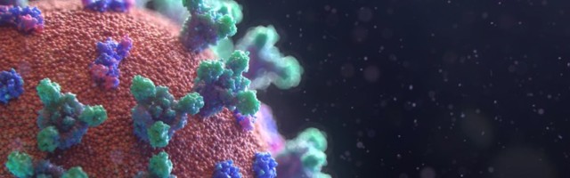 KORONA PRESEK Još 614 novozaraženih, preminulo troje