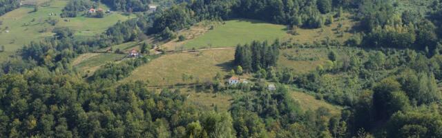 Danas je Međunarodni dan šuma: Znate li koliko teritorije pokrivaju u Srbiji?