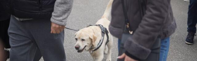 Najverniji prijatelj Duška Vujoševića došao na sahranu, emotivna scena i dolazak Žute na poslednji oproštaj