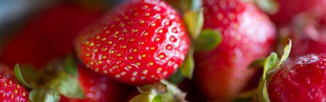 Prve jagode stigle na tezge: Evo koliko koštaju ove godine