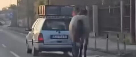 UZNEMIRUJUĆI PRIZOR U KRUŠEVCU: Stavio konju ular na glavu, vezao ga za auto, PA DAO GAS I VUKAO GA PO GRADU! Ljudi zgroženi snimkom (VIDEO)