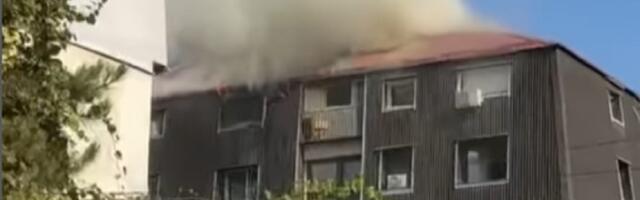 Požar na Karaburmi: Krov zgrade u plamenu (VIDEO)