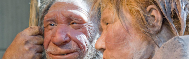 На прагу великог открића: Неандерталац и модерни човек се срели у пећинама код Мајданпека?