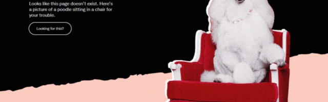 PAO TVITER! Mreža "X" ne radi ni u Srbiji!