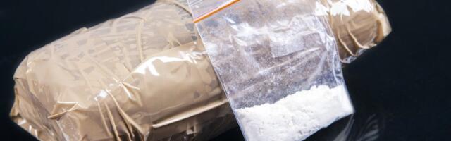 Srbin "pao" na granici sa 10 kilograma kokaina: Zaplenjena droga od skoro 850.000 evra