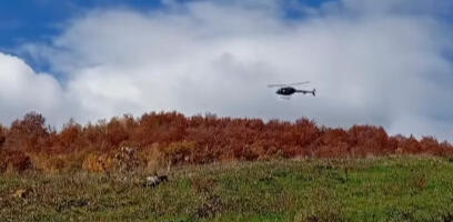 Helikopteri ponovo uključeni u potragu dvostrukog ubice: Nadleću putanju Balijagića (VIDEO)