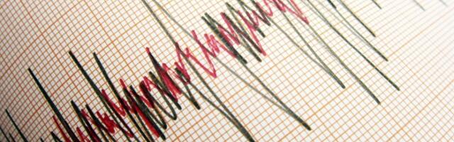 "Zujanje, a zatim kratak, snažan udar": Zemljotres protresao Hrvatsku