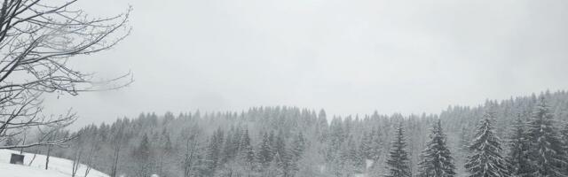 Zimska idila na Zlataru: Sneg je sve zavejao, ali nema lepšeg pogleda u celoj Srbiji