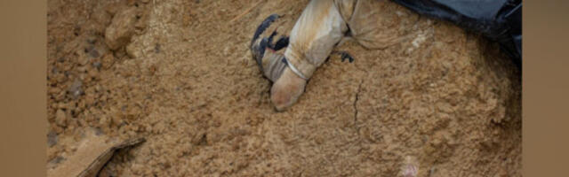 Гробнице са 171 телом нађене у Конгу након повлачења побуњеника М23