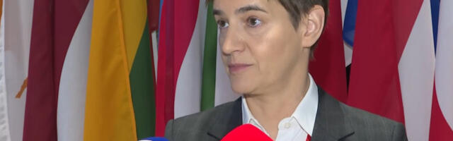 Брнабић: Важно је да у Европи кажемо шта се заиста дешава у Србији