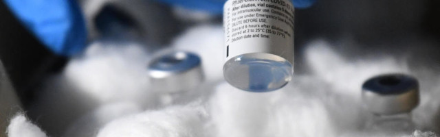 Fajzerova vakcina 91 odsto efikasna, štiti od južnoafričkog soja