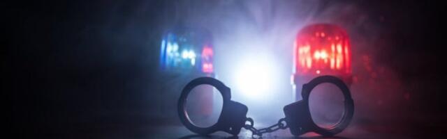 ŠVERCOVALI DROGI IZ ALBANIJE PREKO KOSOVA: Pali u Novom Beogradu! Petorica saslušana zbog marihuane i kokaina