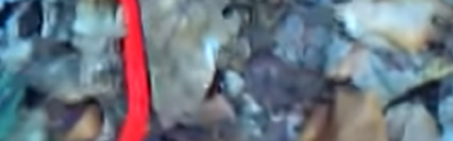 Crvena boja ukazuje samo na jedno, meštani u strahu (VIDEO)