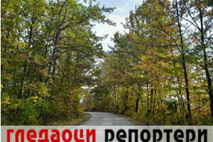 Гледаоци репортери (11. децембар 2022)