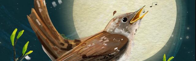 Manifestacija “Noć Slavuja” u Nišu