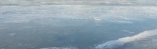 Deco, šta to radite: Opasna "zimska igra" u Novom Sadu