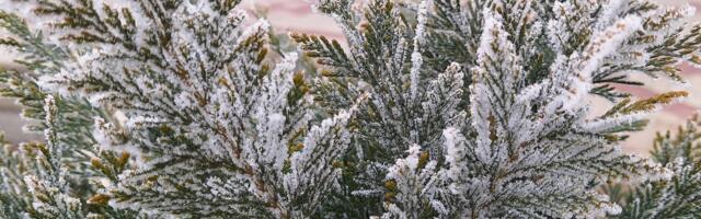 Toplije uz otapanje snega do kraja radne sedmice