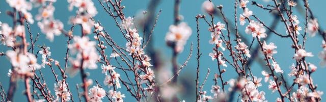 Vreme danas: Ujutru mraz, tokom dana sunčano i toplo