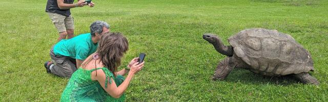 Vesti o smrti najstarije životinje na svetu bile su prvoaprilska šala